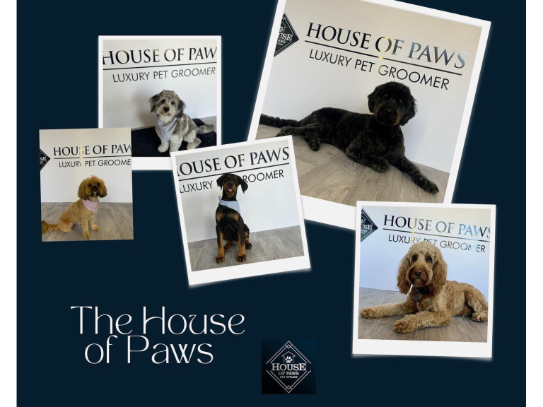 House of store paws pet salon